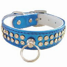 pet collar and leads